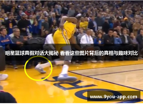 明星篮球真假对话大揭秘 看看这些图片背后的真相与趣味对比